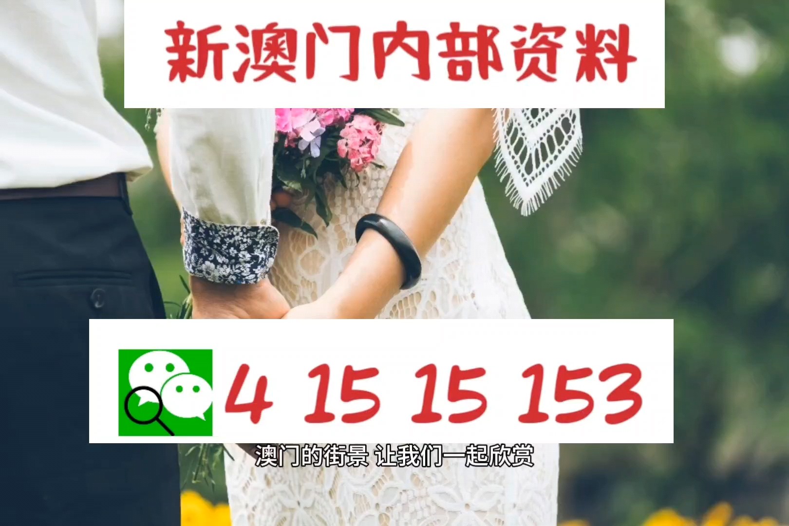 2025新澳门今晚特码买什么,精选解析、解释与落实