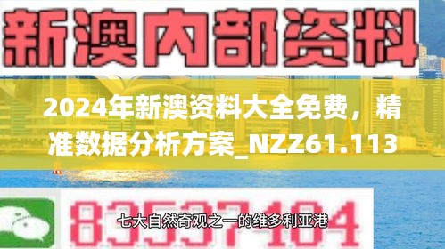 2025新澳精准正版免費資料和与警惕虚假宣传-全面释义、解释与落实
